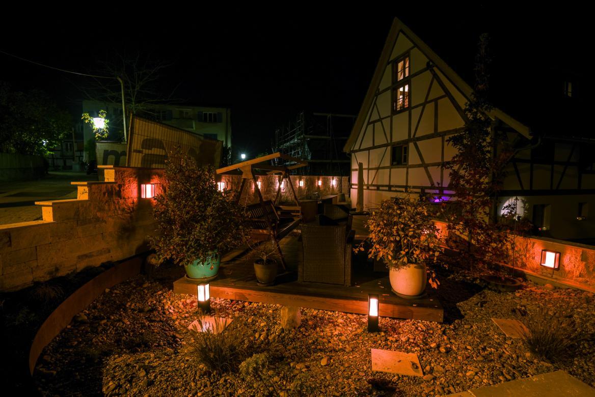 Gärten in der Nacht (3).jpg