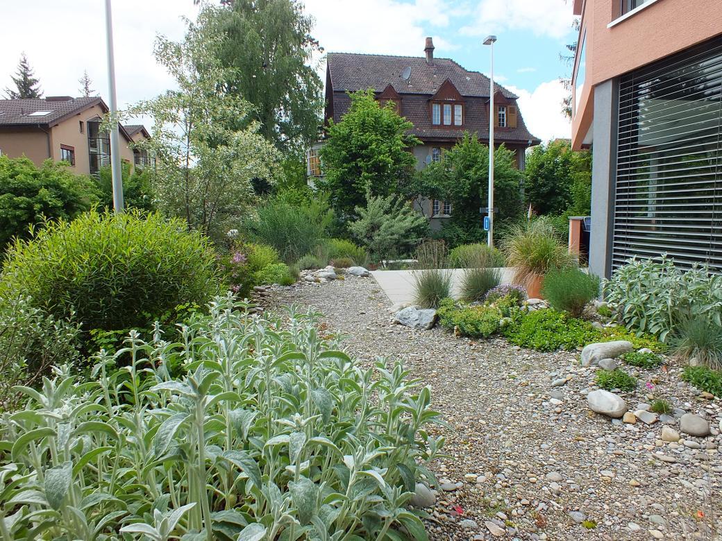 Bepflanzung (12).jpg