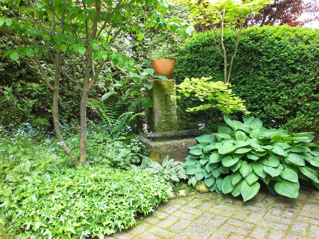 Bepflanzung (13).jpg