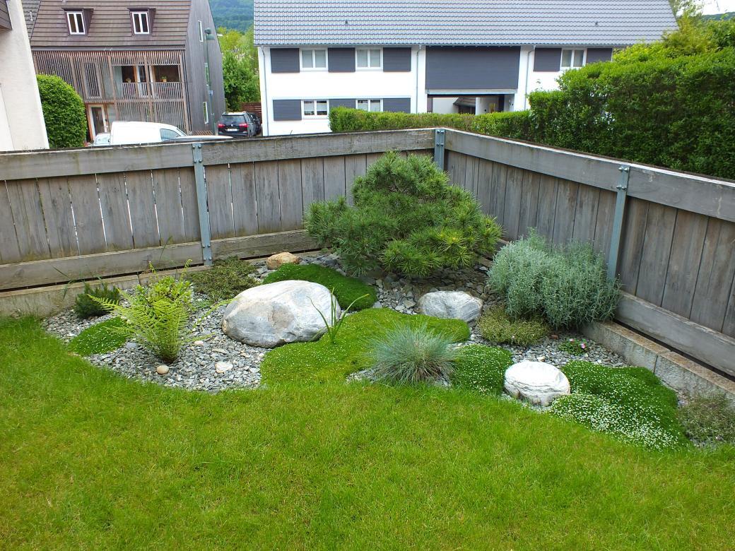 Bepflanzung (14).jpg