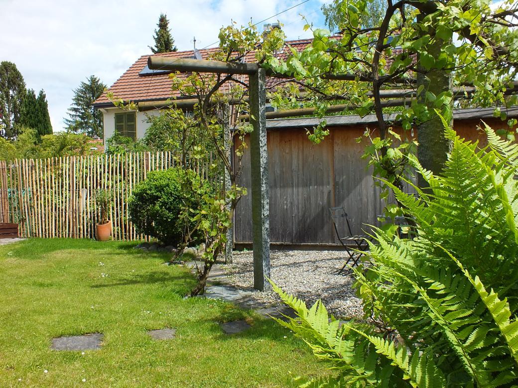 Holz im Garten (2).jpg