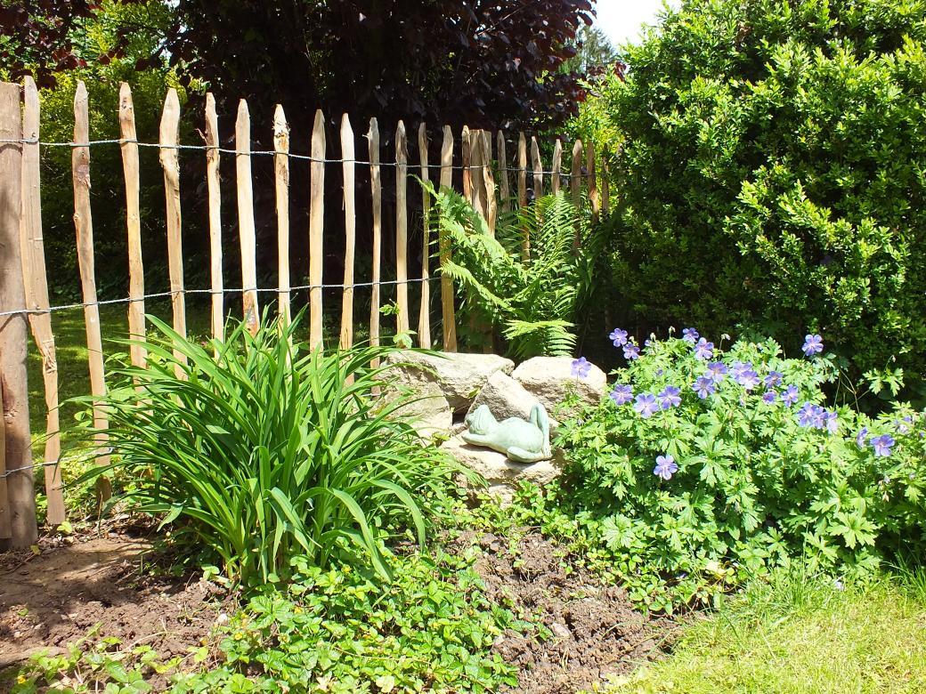 Holz im Garten (3).jpg