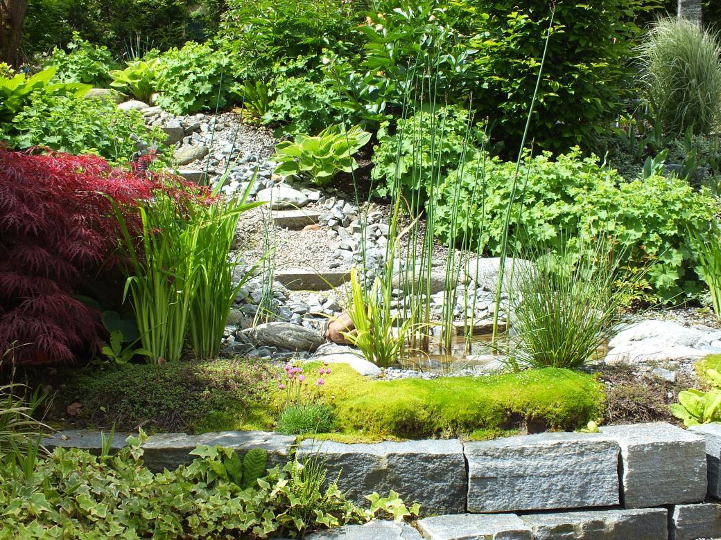 Wasser im Garten (1).jpg