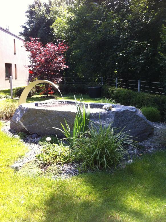 Wasser im Garten (2).jpg