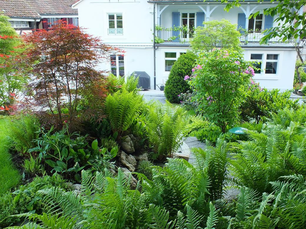 Bepflanzung (19).jpg